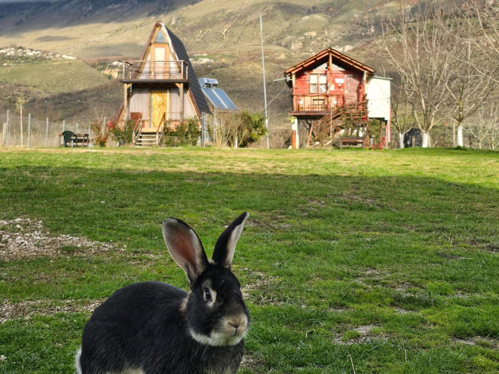 Life On The Farm Hotel Nepravishte Luaran gambar